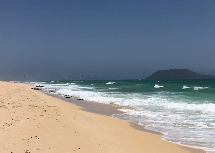 Aulaga * Villaverde (Fuerteventura)