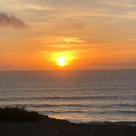 Aulaga Villaverde (Fuerteventura)