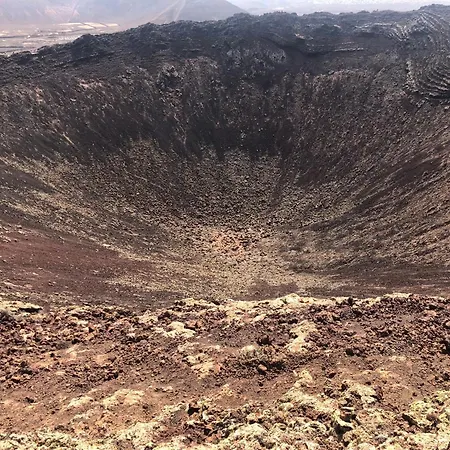 Aulaga Villaverde (Fuerteventura)