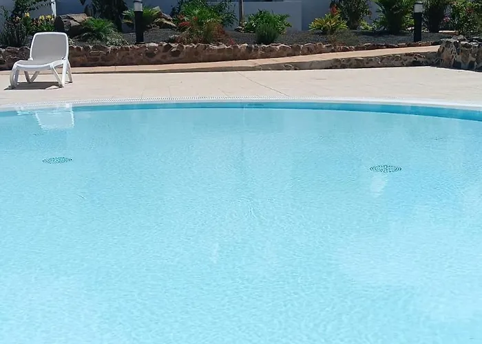 Aulaga Villaverde (Fuerteventura)