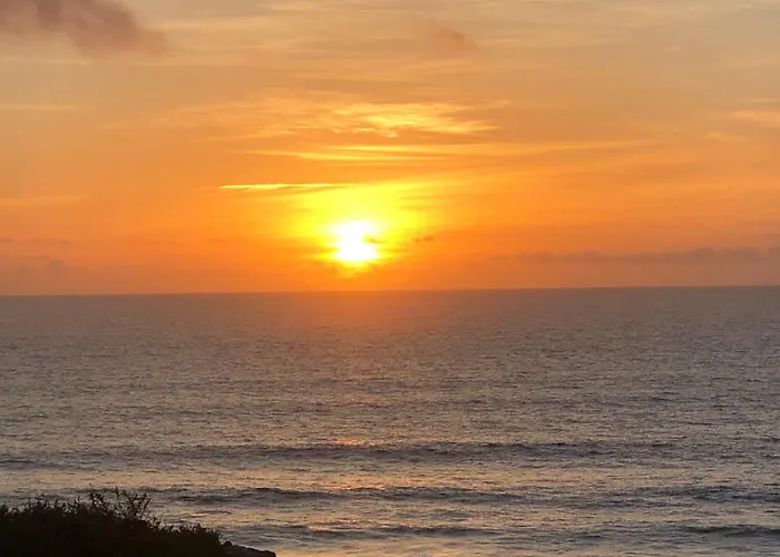 Aulaga Villaverde (Fuerteventura)