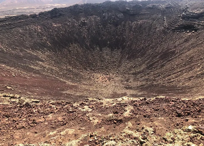 Aulaga Villaverde (Fuerteventura)