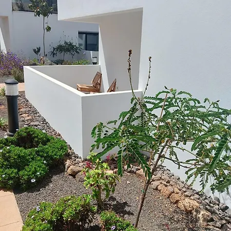 Aulaga *