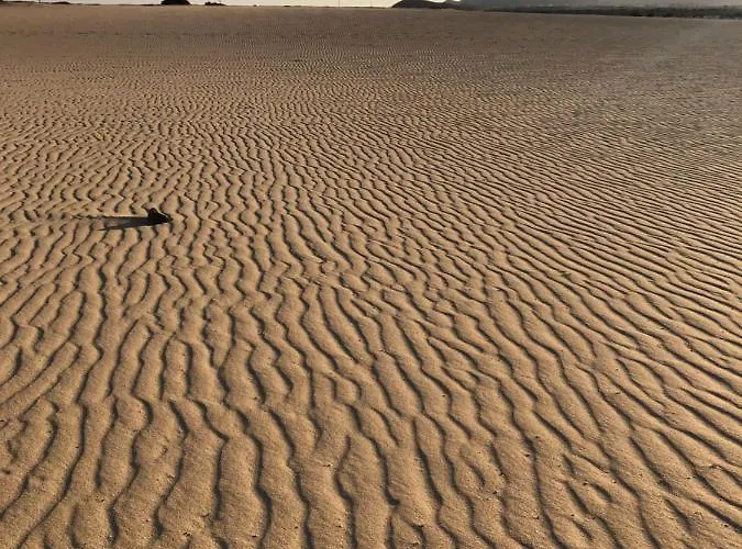 Appartement Aulaga *