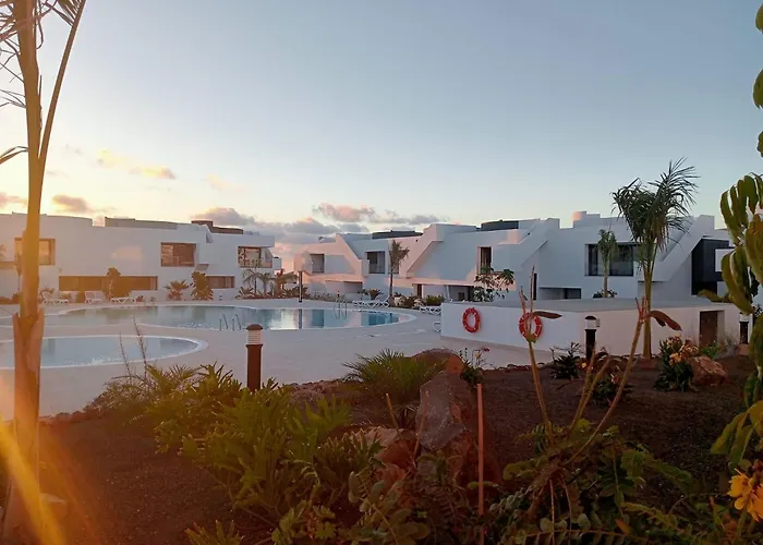 Aulaga Villaverde (Fuerteventura)