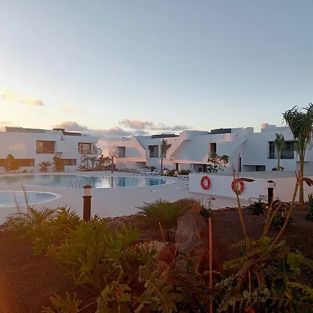 Aulaga Villaverde (Fuerteventura)